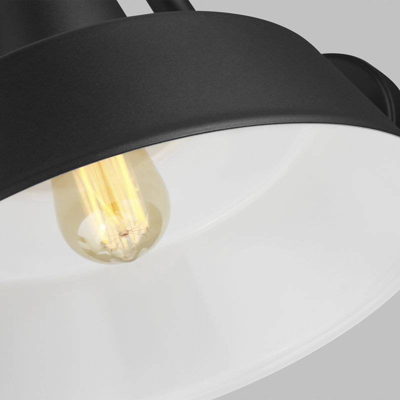 Luminaire de grange d'extérieur Blakeston, Noir, H 13,5 po x l 14 po x P 14 po, Oui
