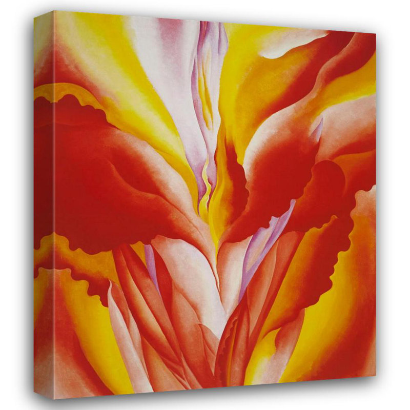 Canna rouge, H 24 po x l 20 po