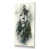 Toile tendue
