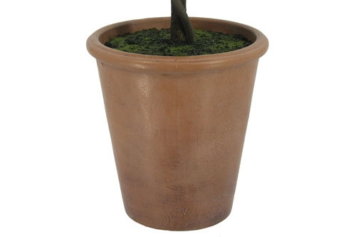 36" Double Boxwood Topiary in Pot
