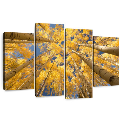 Harnek Golden Aspen Canopy