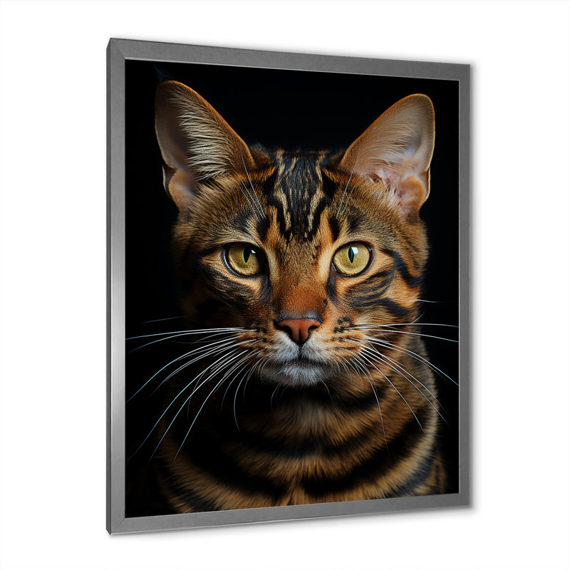 Chat, tigre, portrait de chat, H 20 po x l 12 po x P 1 po, Cadre simple argenté