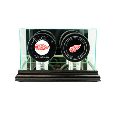 Double vitrine de rondelle de hockey