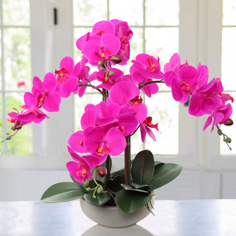 Ensemble de 2 orchidées phalaenopsis fuchsia de 20 po | Arrangements floraux artificiels dans des pots ronds gris - Décor moderne de plusieurs pièces