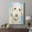 Labradoodle I -Custom Wrapped Gallery Cavas-565886000