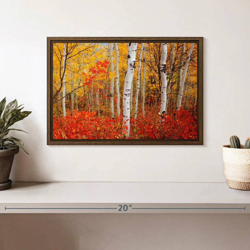 Bouleaux d'automne, 13 po x 9 po, Cadre flottant noyer