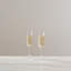Bristol Champagne Flute - Set of 2