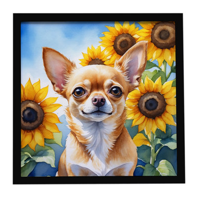 Chihuahua avec tournesols, reproduction d'art encadrée