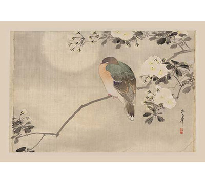 " Bird And Cherry Blossoms "