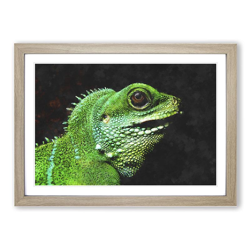 Iguana Lizard - Picture Frame Graphic Art, 27cm H x 36cm W x 2cm D, Oak Framed