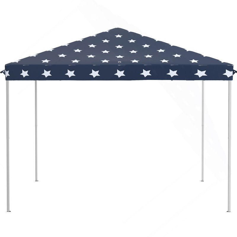 Pop Up Canopy Tent with Netting