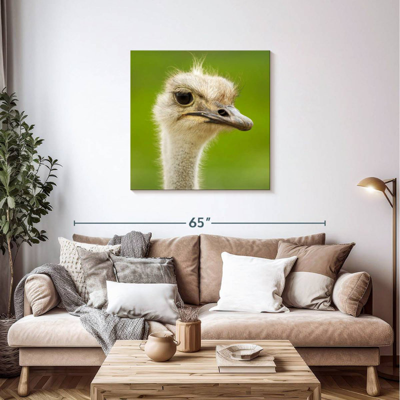 Crowle Serious Ostrich
