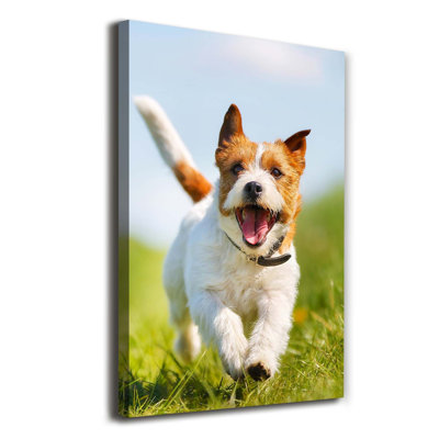 Dog Jack Russell - Wrapped Canvas Print