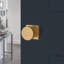 2.34375 X 2.5625 X Lifetime (PVD) Satin Brass Square-1199682206-1199682207
