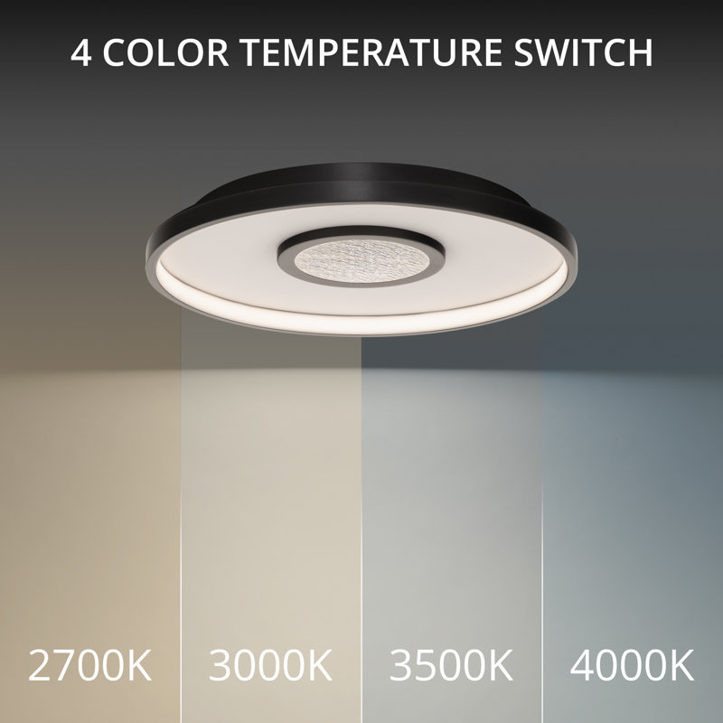 Black Round LED Flush Mount Ceiling Light with Silver Leaf Accent