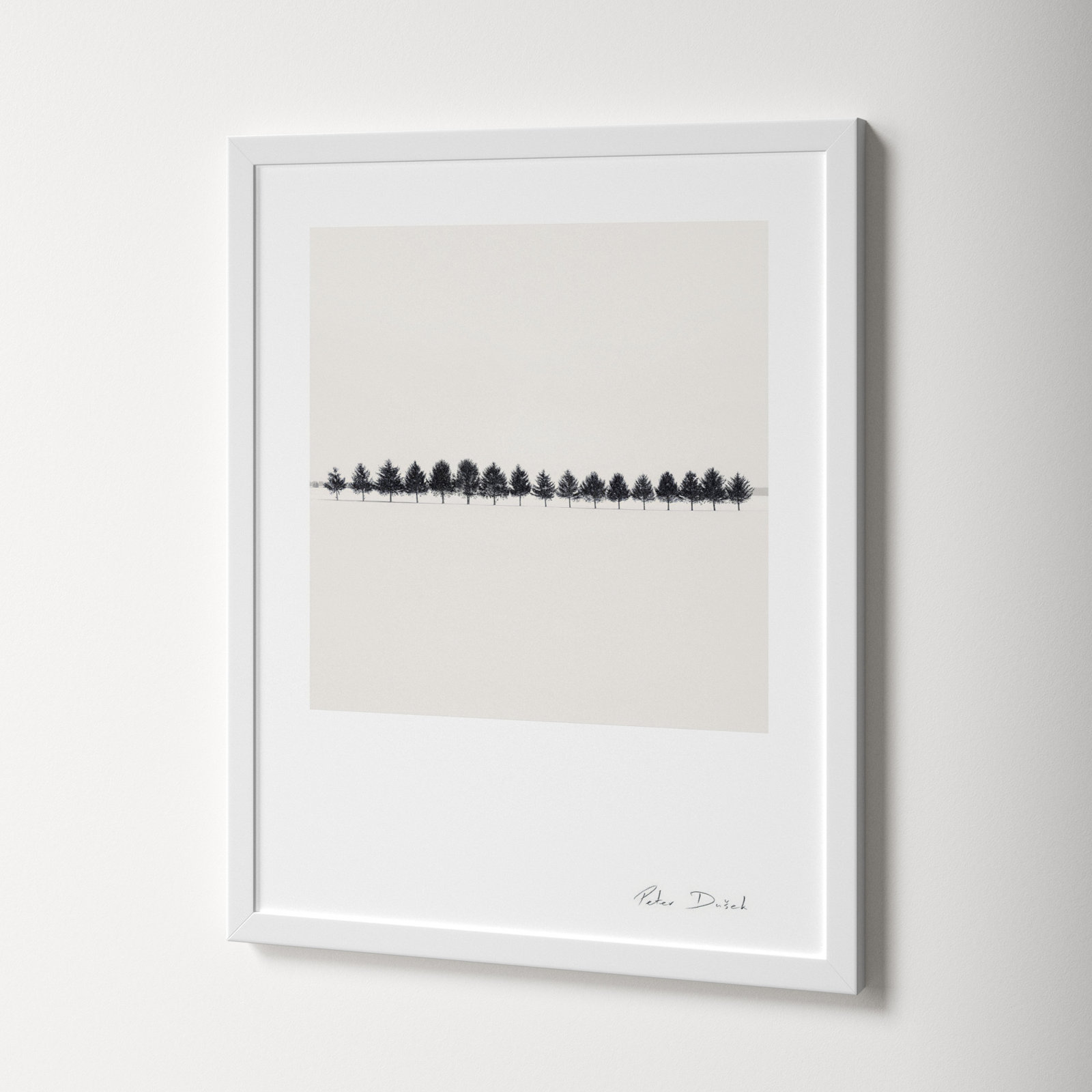 Seventeen Trees by Peter Dušek, White, 30" H x 24" W x 1.25" D