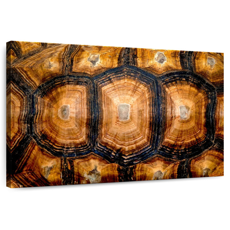 Brampt Turtle Carapace Texture, 8" H x 12" W