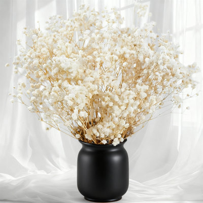 Plus de 2 000 tiges de bouquets de bébé séché, gypsophile naturelle de 17 pouces pour pièce maîtresse de mariage, remplisseur de vase et bricolage