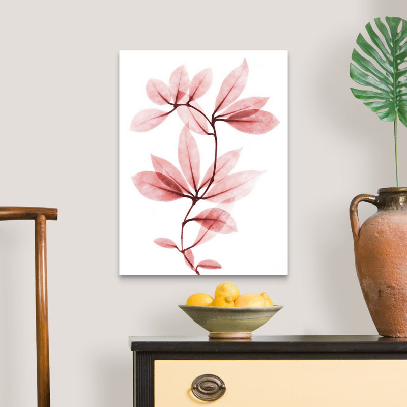 "Coral Wonder 1" par Albert Koetsier, reproduction d’art sur toile, H 24 po x l 18 po x 1,25 po, Toile tendue