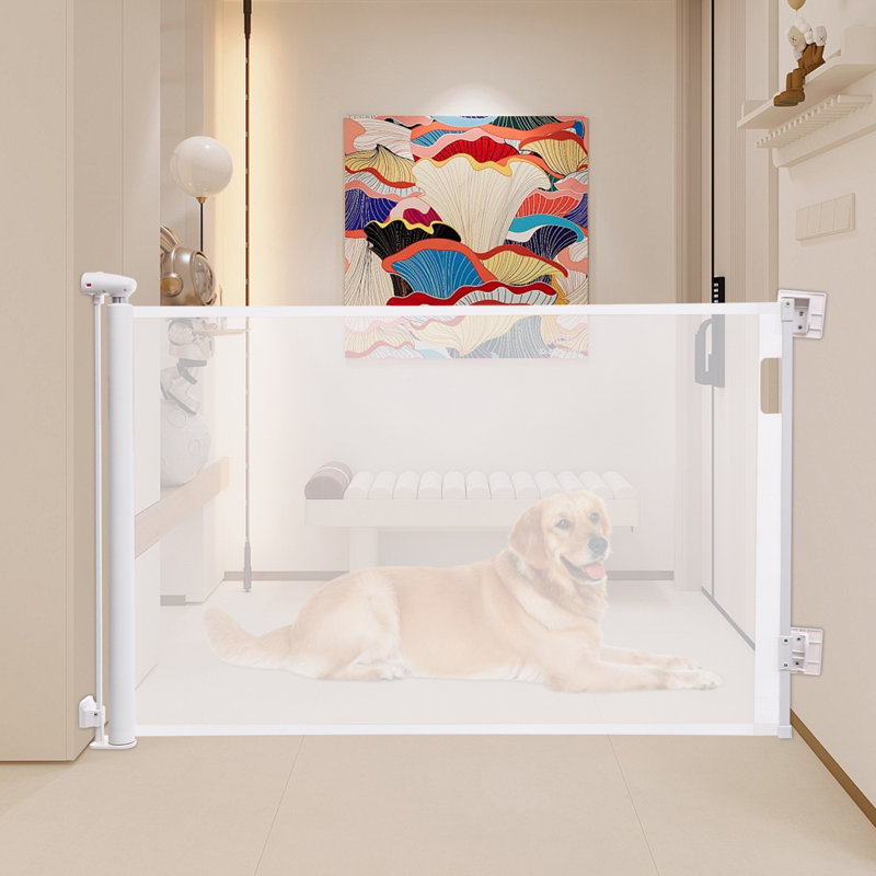 Barrière escamotable très haute 33,85 po, 55", Blanc