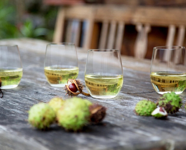 RIEDEL The O Wine Tumbler Chardonnay/Viognier Wine Glass (Pay 3 Get 4)