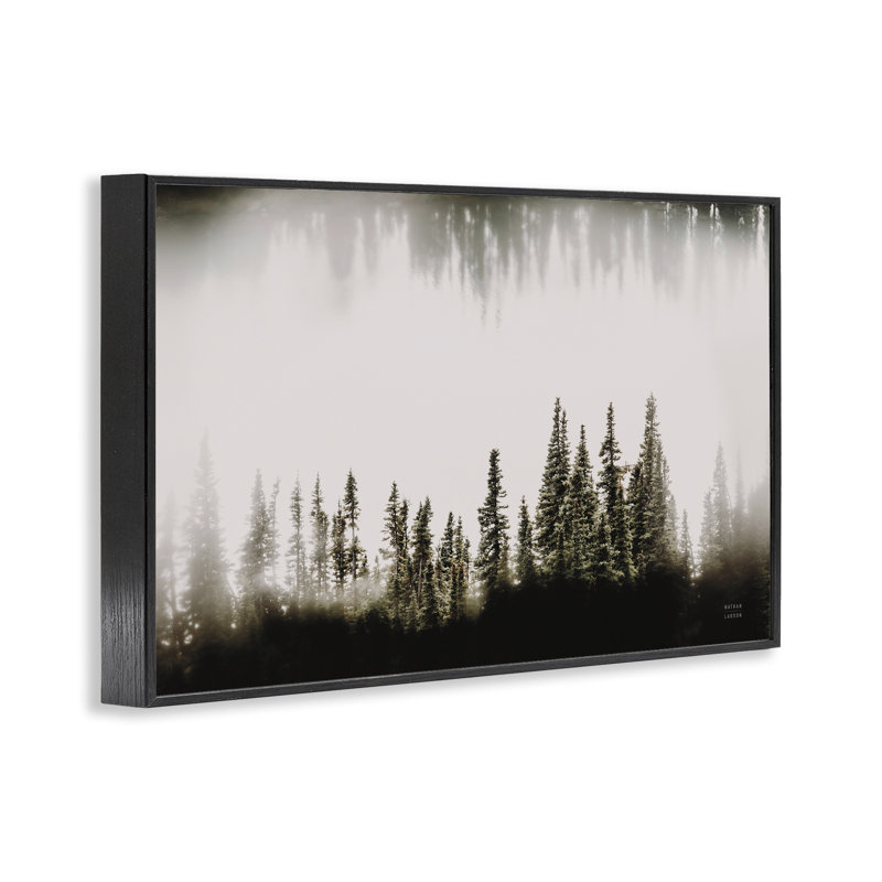 «Waterwood Tree Composition», estampe numérique par Nathan Larson, H 12 po x l 18 po, Giclée encadrée noir minuit