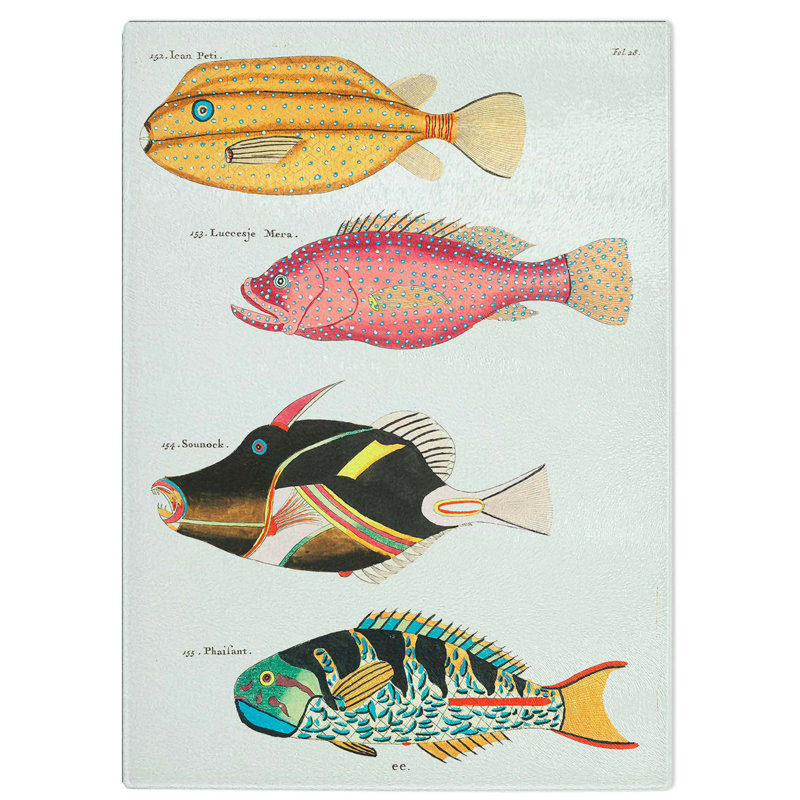 Glass East indies Fish Illustrations Fol. 28 by Louis Renard Chopping Board, 28.5 cm W x 20 cm L
