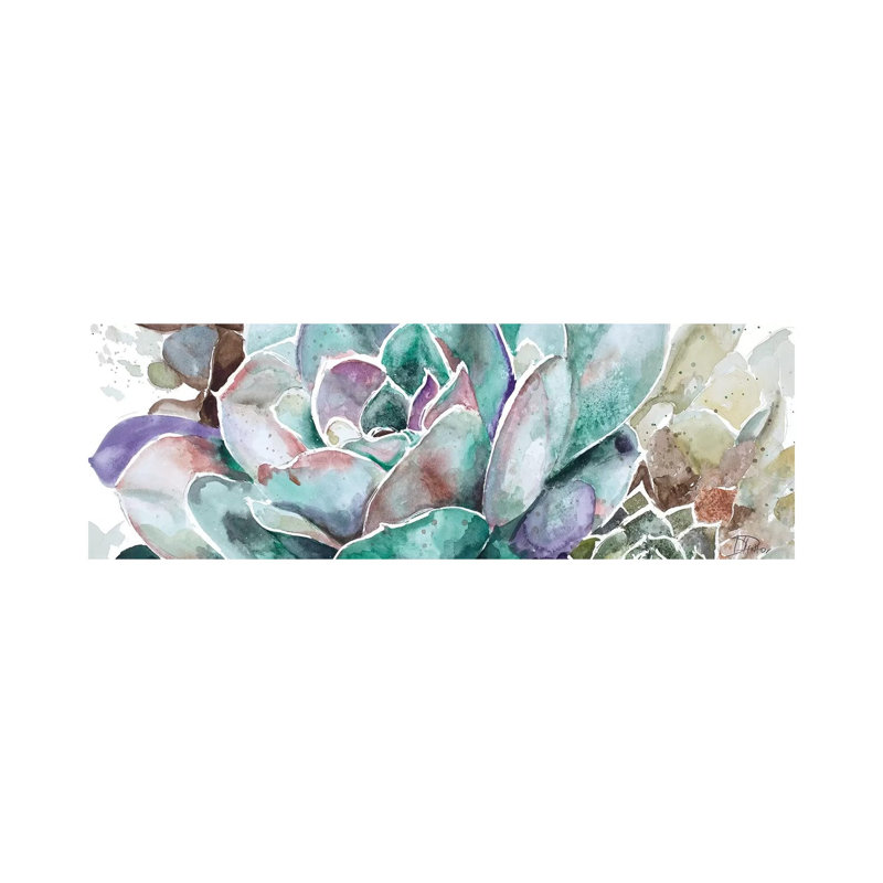 Desert Flower by Patricia Pinto - Wrapped Canvas Panoramic Gallery-Wrapped Canvas Giclée