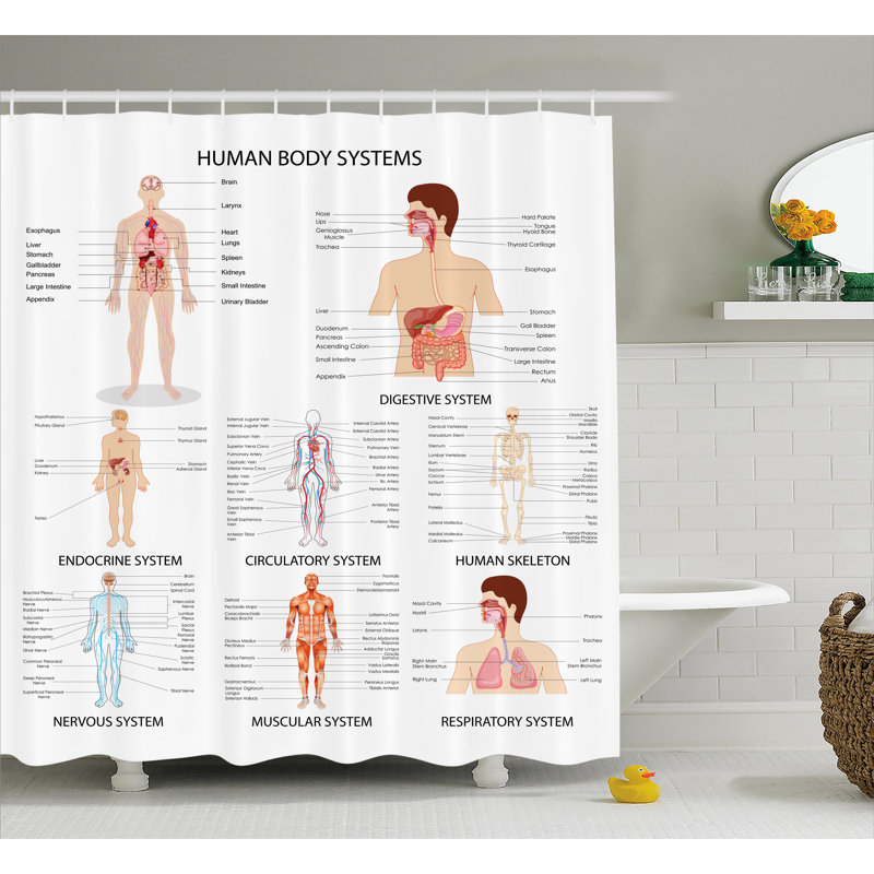 Rideau de douche simple et crochets Mixed, H 84 po x l 69 po