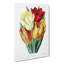 Rough-Stemmed Tulips - Wrapped Canvas-55323488