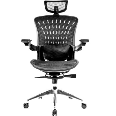 Cortez Task Chair with Headrest
