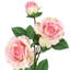 Fleur de sucre en aérosol-1730976779