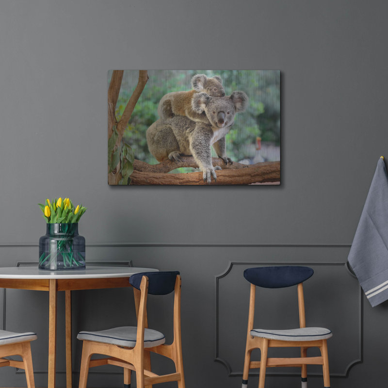 "Koala" par Luxe, H 24 po x l 36 po