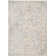Soren Performance Oriental Rug