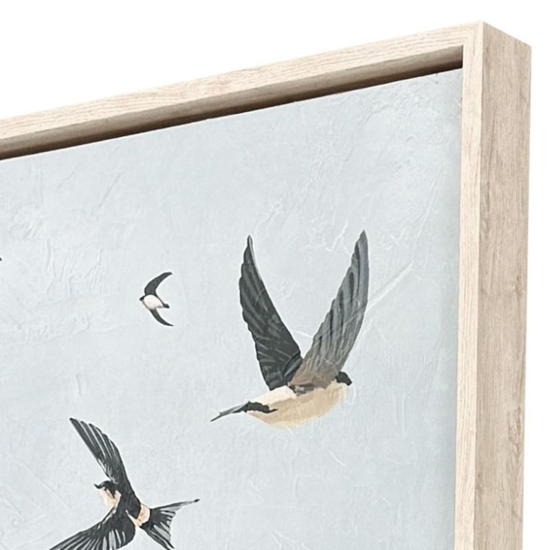Swifts Print Nai Paragon