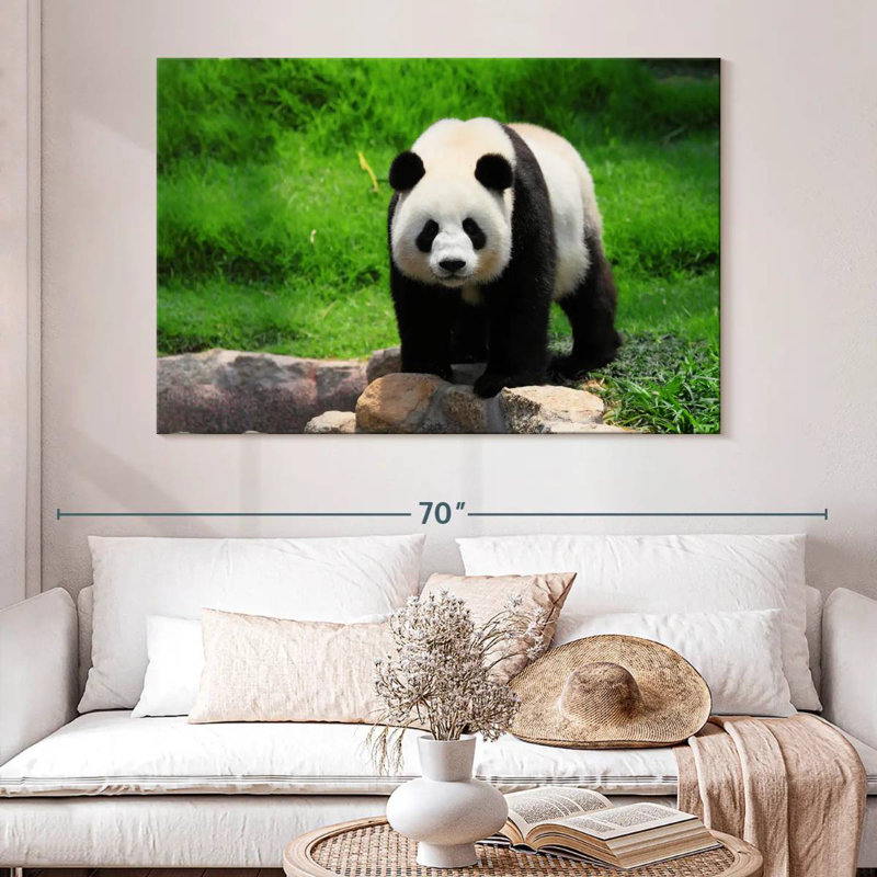 Panda se promenant, H 34 po x l 51 po