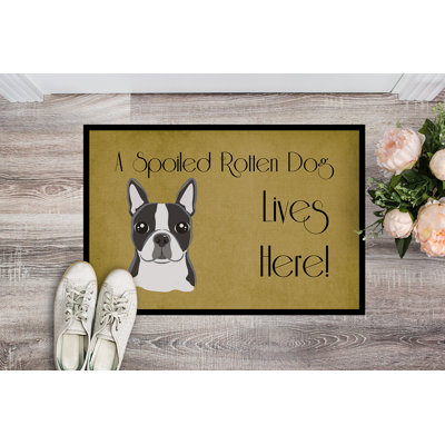 Tunkhannock Non-Slip Outdoor Doormat