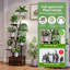 Plant Stand - Set of 2