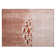 Kinslee Animal Print Indoor / Outdoor Rug