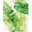 Tropical Vacation I Print by Barclay Butera-30726993-30726994