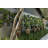 Inett Polyethylene Wall Planter Set-1549758331-1549758328