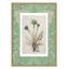 «Jade Botanical I Print» par Carol Robinson-1943708441-1943708650-1943708476