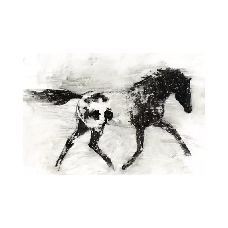 Rustic Appaloosa I by Ethan Harper - Wrapped Canvas Panoramic Painting, 66.04 cm H x 45.72 cm W x 1.91 cm D