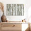 Bois de bouleau Alvord-107524077
