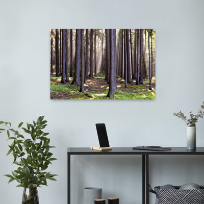 Forest Scene With Sun Rays Shining Through Branches Abstract Contemporary Forest Nature Wall Art