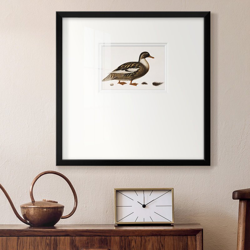 Canard colvert Baileyville, H 21 po x l 21 po x P 1,25 po