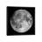 Full Moon by Roth Ritter - Print on Canvas-1341488664-1341488742