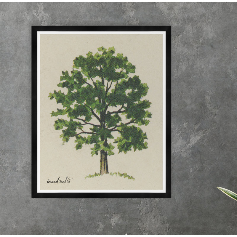 Meadow Tree Iv Print