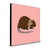 Rose est en rupture de stock