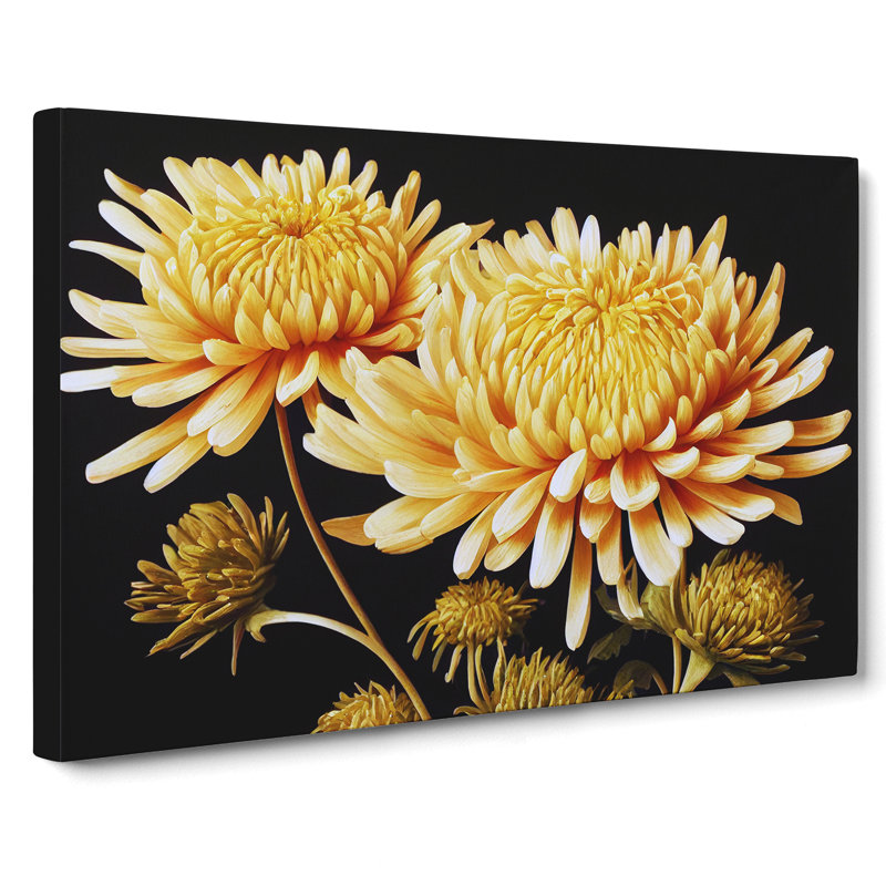 Astonishing Chrysanthemum Flowers - Wrapped Canvas, 35cm H x 50cm W x 3cm D